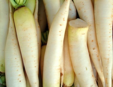 Daikon radish