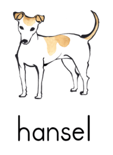 hansel-logo_0